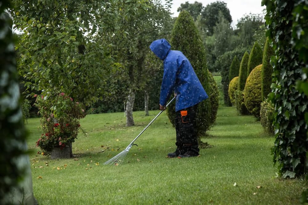 Jardin d'automne : les gestes gratuits qui préparent vraiment votre potager pour l'hiver