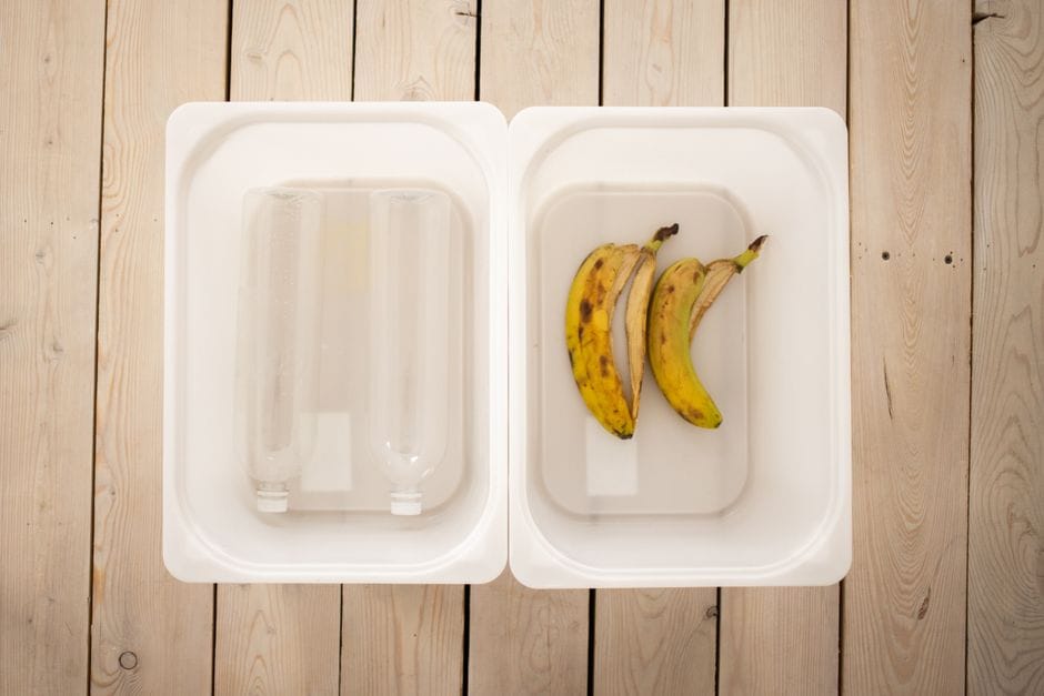 Démarrer un compost en appartement avec le lombricompostage