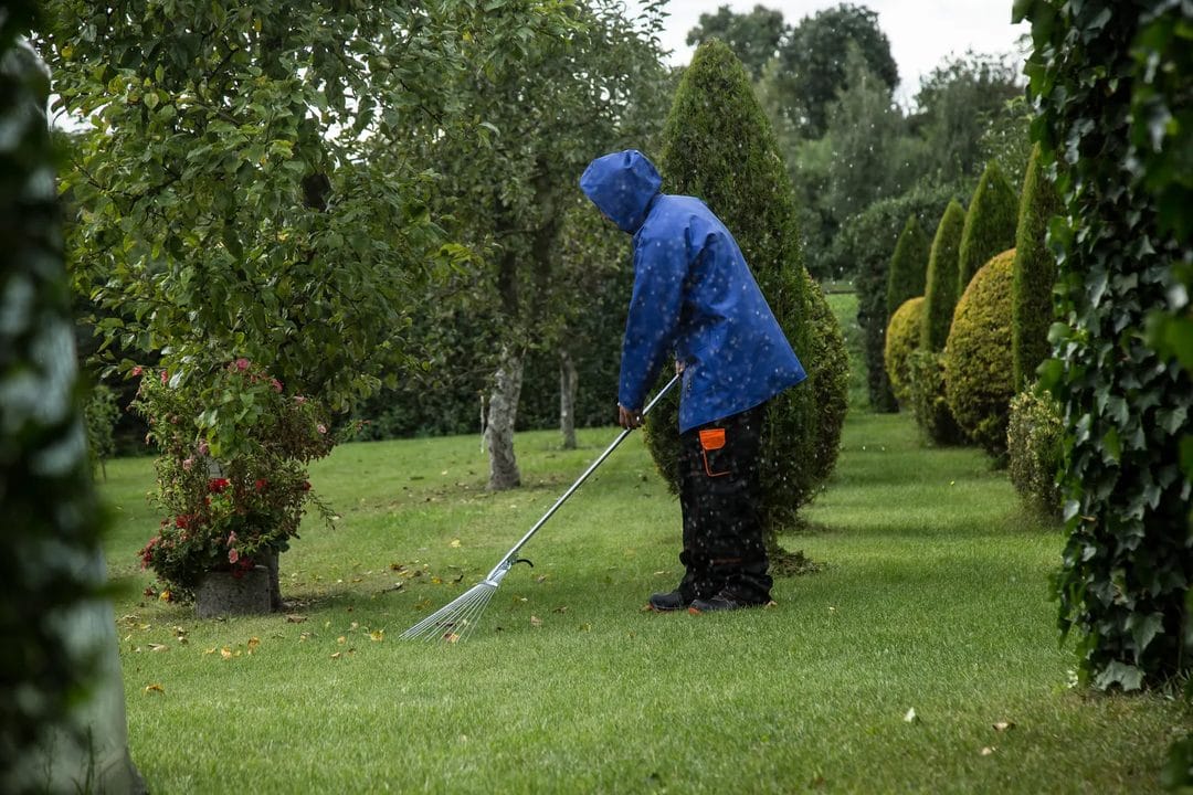 Jardin d'automne : les gestes gratuits qui préparent vraiment votre potager pour l'hiver