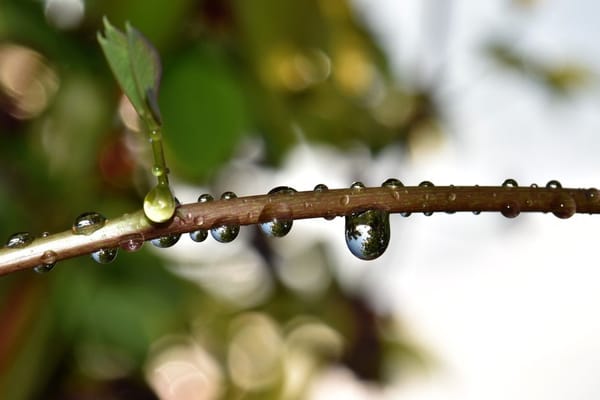 La chasse aux fuites d'eau invisibles