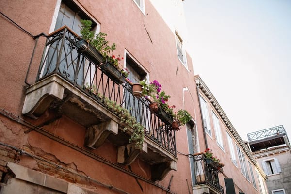 Un potager sur le balcon : démarrer petit