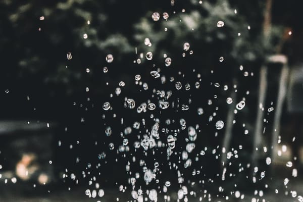 Récupérer l'eau de pluie pour le jardin