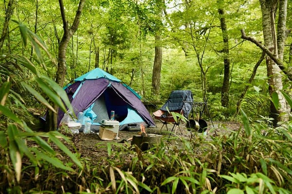Camping écoresponsable : comment repérer les vrais engagements derrière le label Clef Verte