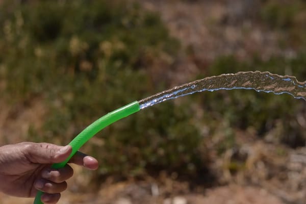 Sécheresse et canicule en août : les gestes qui économisent vraiment l'eau du jardin (et ceux qui ne servent à rien)